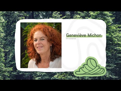 Vido de Genevive Michon