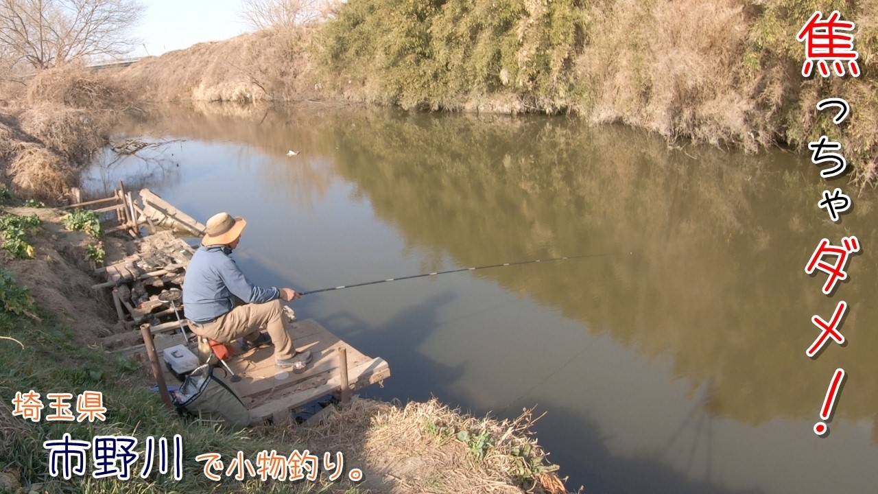 足元危ないから焦っちゃダメー！！ また最後に大物○○！ 埼玉県 市野川で小物釣り。
