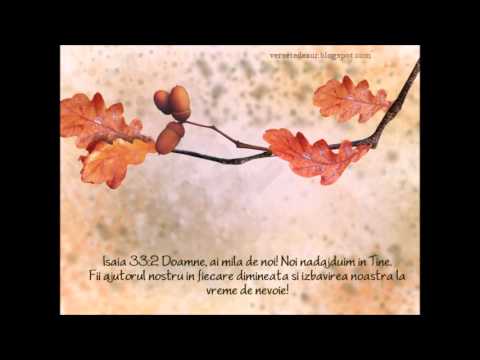 Rahela Mirea- Te aude Cerul