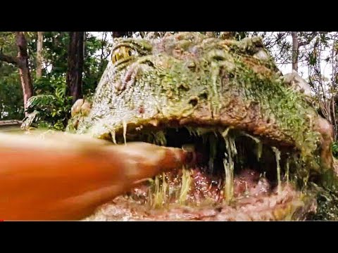 Giant Frog Attack! Scene - LOVE AND MONSTERS (2020) Movie Clip |-- Trailers Vila