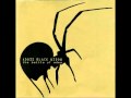 Addis Black Widow - Sweet Money 