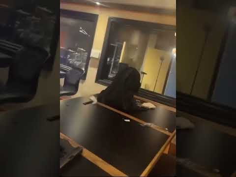 4192 Diesel x Yungwolf x Quaglizzy Snippet