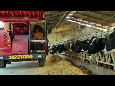 Mal di sinistra sotto le costole a sinistra nella parte posteriore dà Che può essere molto male al posteriore sotto la scapola sinistra