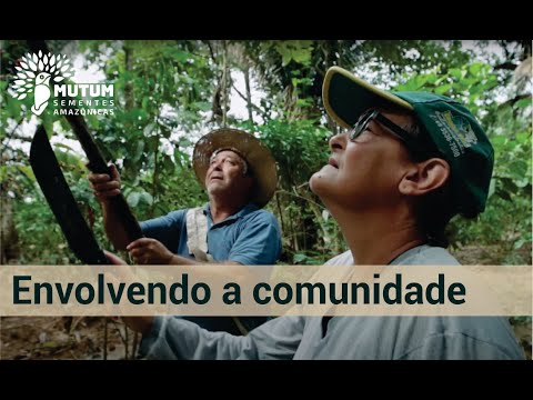 https://youtu.be/j7Pp0jp4LUw?si=_hxrvxGHJ91i-jyz