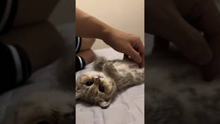 Maximum Cuteness Achieved 😂