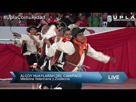 FESTI DANZA 2018 - ALCOY HUAYLARSH DEL CANIPACO (Medicina Veterinaria y Zootecnia)