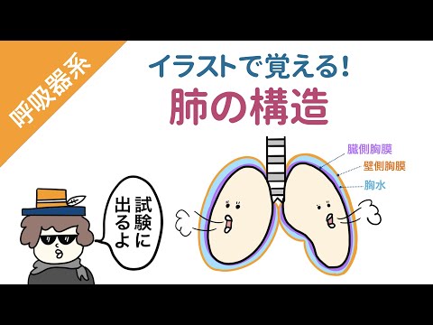 新生気管症について詳しく解説