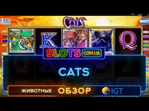 Cats