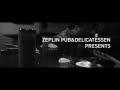 Zeplin Unplugged Sessions Steady Fingers