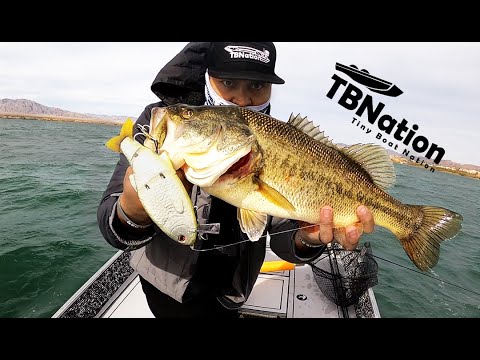 Tiny boats & Big Baits | TBNation Trailer 2021 | Tiny boat nation