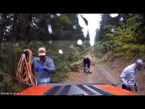 WABDR Trail Clearing Route 1 (05-2016)