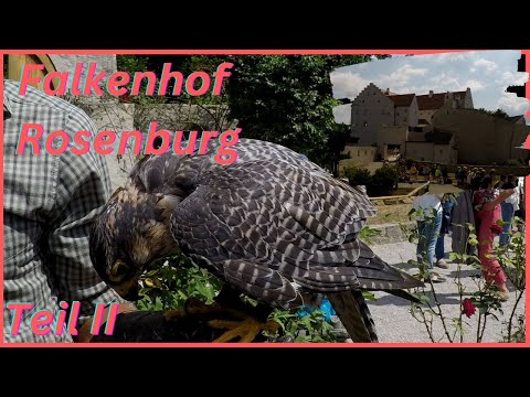 Riedenburg die Rosenburg Falkenhof