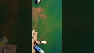 Stunning Catba island #shorts #bsa #catbaisland