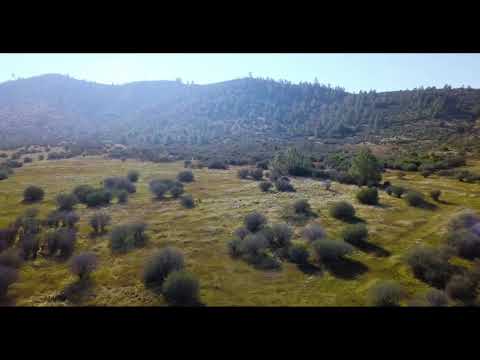 BACK TO THE FUTURE HILL VALLEY 1885