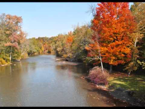 Relax to the Bible - Psalm 1