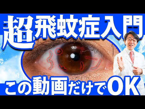 視界に小さな糸が見えるとはこのことを意味します