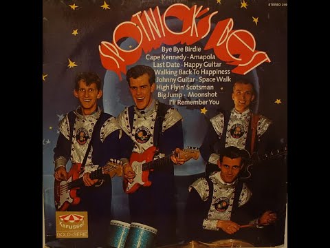 The Spotnicks - Bye bye Birdie (LP Spotnick's Best)[1989]