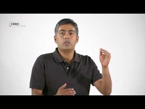 Meet EMBO Young Investigator - Yogesh Kulathu