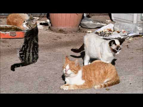 POGGIODOMO VALNERINA 31\12\2021