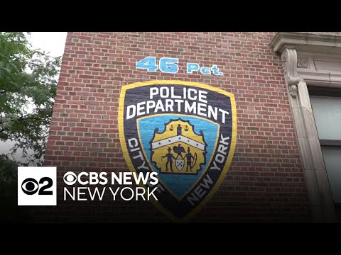 46 Pct Bronx