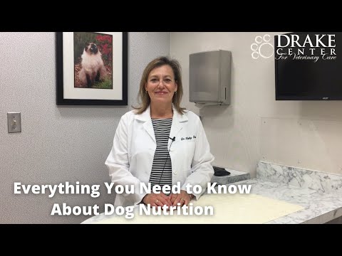 Everything You Need to Know About Dog Nutrition