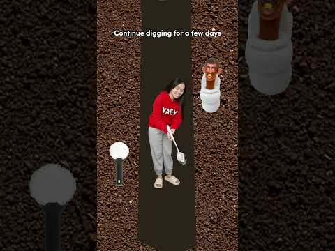 How To Not Be Late To School Forever