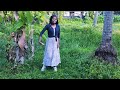 Thamara Poovukum LEO Kunju S Nature Vlogs