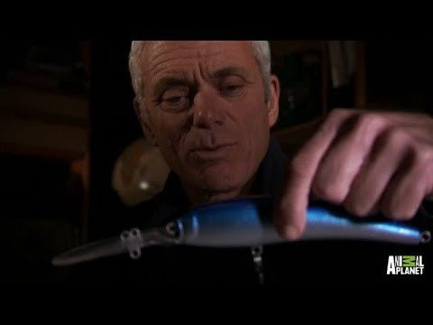 River of Blood - How to Catch a Golden Dorado | River Monsters