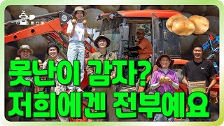감자를 키우려고 농촌을 택한 젊은 청년들이 만든 못난이 감자 활용법