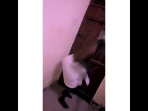 Lavalava ft Meja kunta _Wanga Official Video