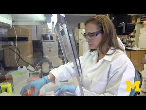 密歇根大學的癌症生物學博士課程。 (Cancer Biology Ph.D. Program at the University of Michigan)