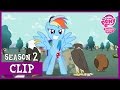 The Competition May The Best Pet Win MLP FiM HD