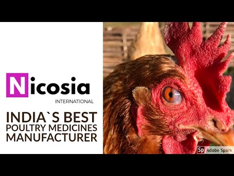 Egg formula vitamin supplement, 1 litre, bottle