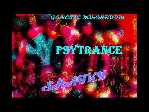 4I20 & Zanon SHATKY (Remix Genetic Mushroom )