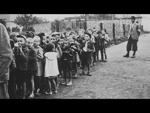 Guilherme de Sá - Floresta de Bétulas (Letra/Legendado)