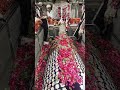 Mira Datar Dargah Sharif New Most Famous Whatsapp Status Khadim Contact 91 7048184184