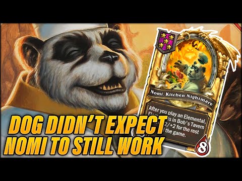 Dog Didn't Expect Nomi To Still Work | Dogdog Hearthstone Battlegrounds