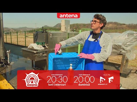 Alexandru Ion, criză de nervi la Asia Express: E nesimțit!