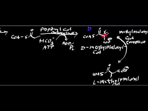 Biochemistry | What is Propionyl-S-CoA?