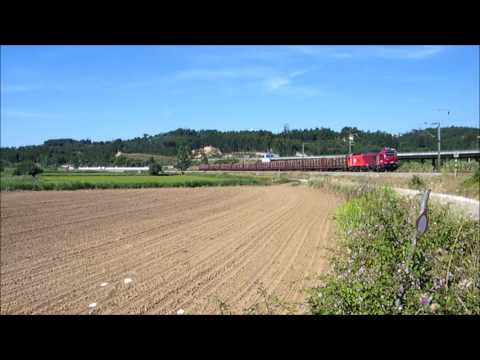 Comboio de Madeira n.º 56260 - Reveles