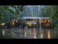 Heavy Rain Camping In A 10M 3 Spaces Inflatable Tent With My Dog Sound Of Rain ASMR
