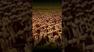 Download lagu Tahukah Anda Peristiwa Kalabakan Yang Menyayat Hati Pernah Berlaku di Malaysia #shorts #tawau mp3 Download lagu Tahukah Anda Peristiwa Kalabakan Yang Menyayat Hati Pernah Berlaku di Malaysia #shorts #tawau mp3