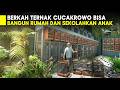 BISA BANGUN RUMAH DAN KULIAHKAN ANAK HANYA BETERNAK BURUNG CUCAK ROWO