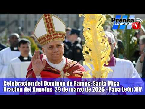 Domingo de Ramos: el Papa León XIV presidió la celebración en el Vaticano