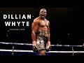 The Best Of Dillian Whyte | Highlights | 2020 | Boxing