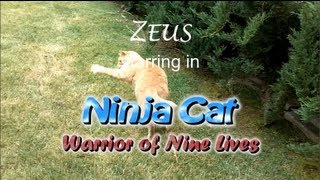 Ninja Cat: Warrior of Nine Lives - Director&#39;s Cut
