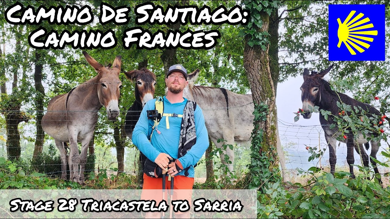 Stage 28 Camino Frances | Triacastela to Sarria | Camino de Santiago