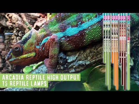 Watch Video on YouTube