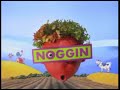 Noggin Flower Head