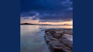 What Kind of Fool Am I